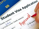 Reasons why you should hire a consultant for a student visa