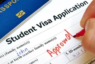 Reasons why you should hire a consultant for a student visa