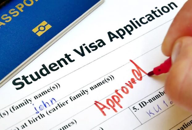 Reasons why you should hire a consultant for a student visa